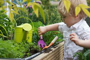 Toddler digging in a greenhouse