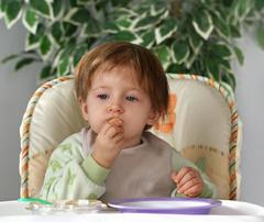 Toddler eating at table